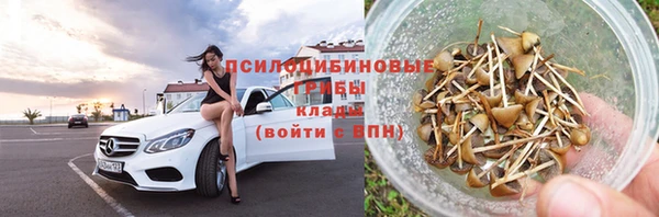соль ск Горнозаводск