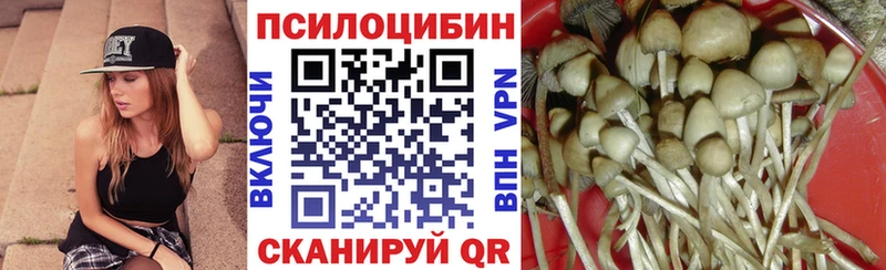 Галлюциногенные грибы Cubensis Полтавская